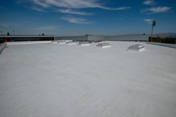 Best Cold Roofs  in Palisade, CO