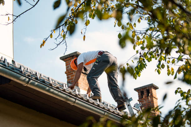 Best Sheet Metal Roofing  in Palisade, CO