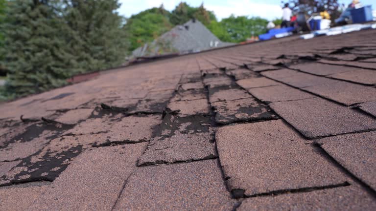 Reliable Palisade, CO Roofing Service Solutions