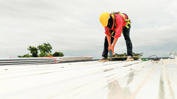Best Asphalt Shingle Roofing  in Palisade, CO