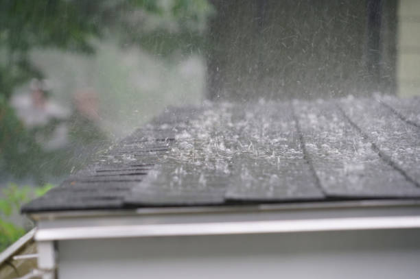 Best Gutter Installation and Repair  in Palisade, CO