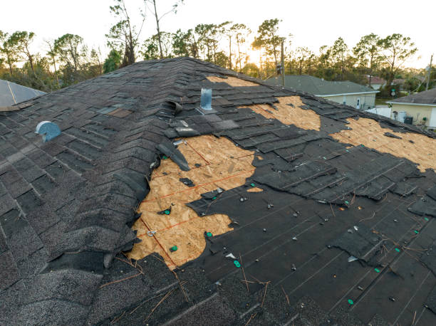 Best Green or Eco-Friendly Roofing Solutions  in Palisade, CO
