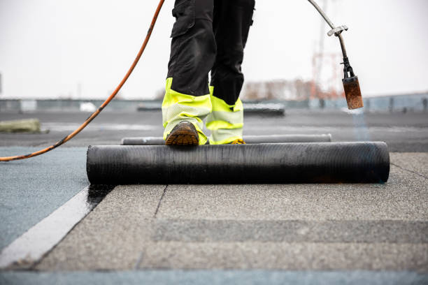 Best Roof Moss and Algae Removal  in Palisade, CO
