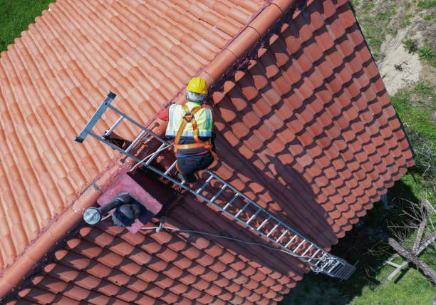 Best Skylight Installation and Repair  in Palisade, CO