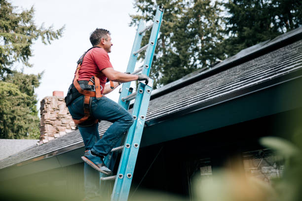 Best Roof Insulation Installation  in Palisade, CO