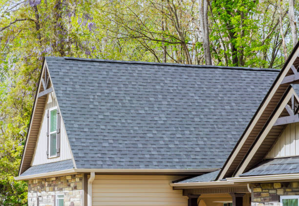 Best Asphalt Shingle Roofing  in Palisade, CO
