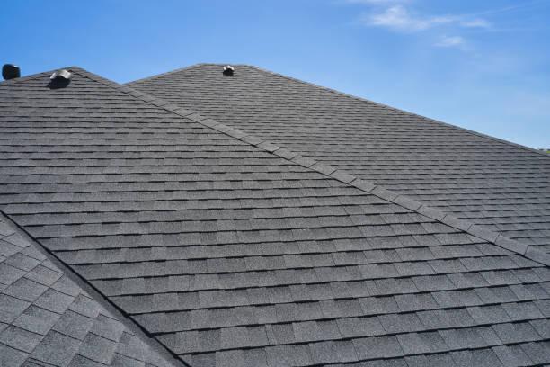 Best Solar Panel Roofing Installation  in Palisade, CO
