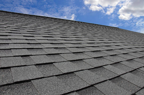Best Commercial Roofing Services  in Palisade, CO