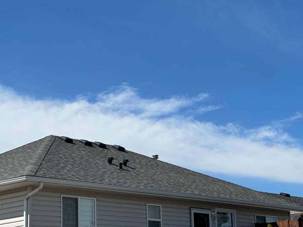 Best Roofing for New Construction  in Palisade, CO