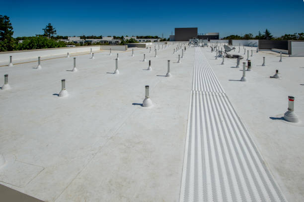 Best Roof Leak Repair  in Palisade, CO